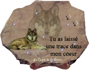 tu a laissé